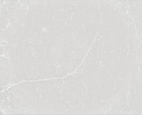 Пустынное серебро - Подробнее