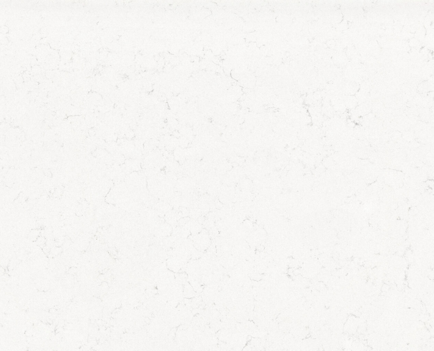 Майами Вена