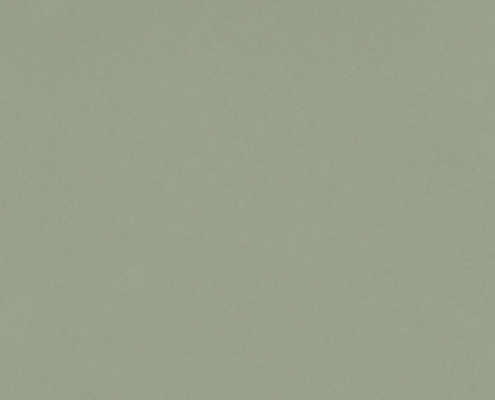 Посидония зеленая