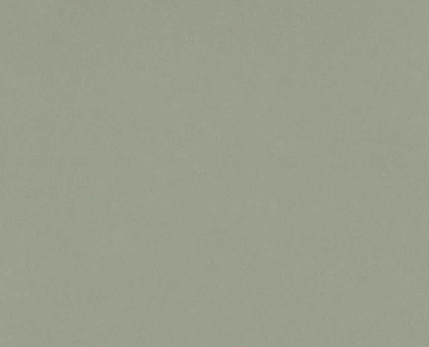 Посидония зеленая